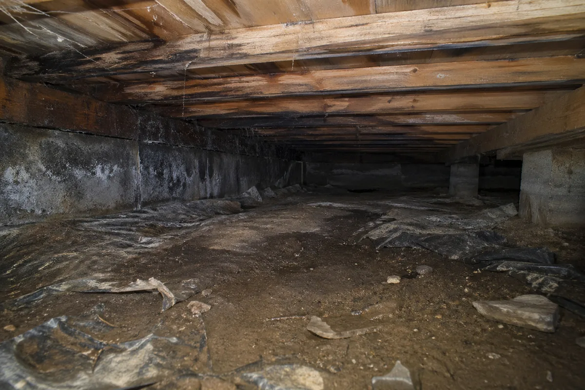 Unencapsulated crawl space with bare dirt floor and moisture damage on wood joists - conditions that cause crawl space mold